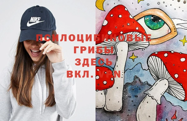 меф Армянск