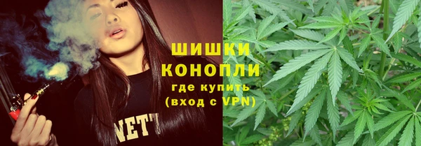 кокс Арсеньев